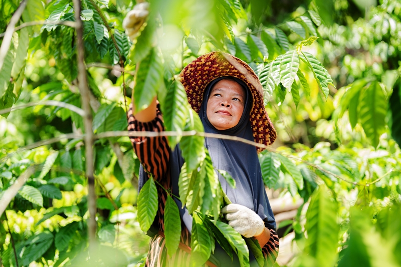 ABM Group Raih Apresiasi Nasional, Tegaskan Konsistensi Keberlanjutan Bisnis